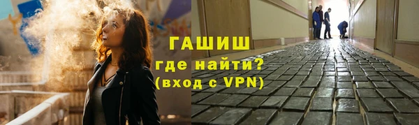 прущие грибы Лабытнанги