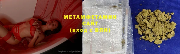 прущие грибы Лабытнанги