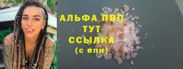 прущие грибы Лабытнанги