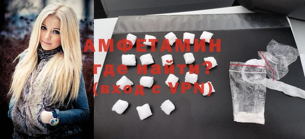 прущие грибы Лабытнанги